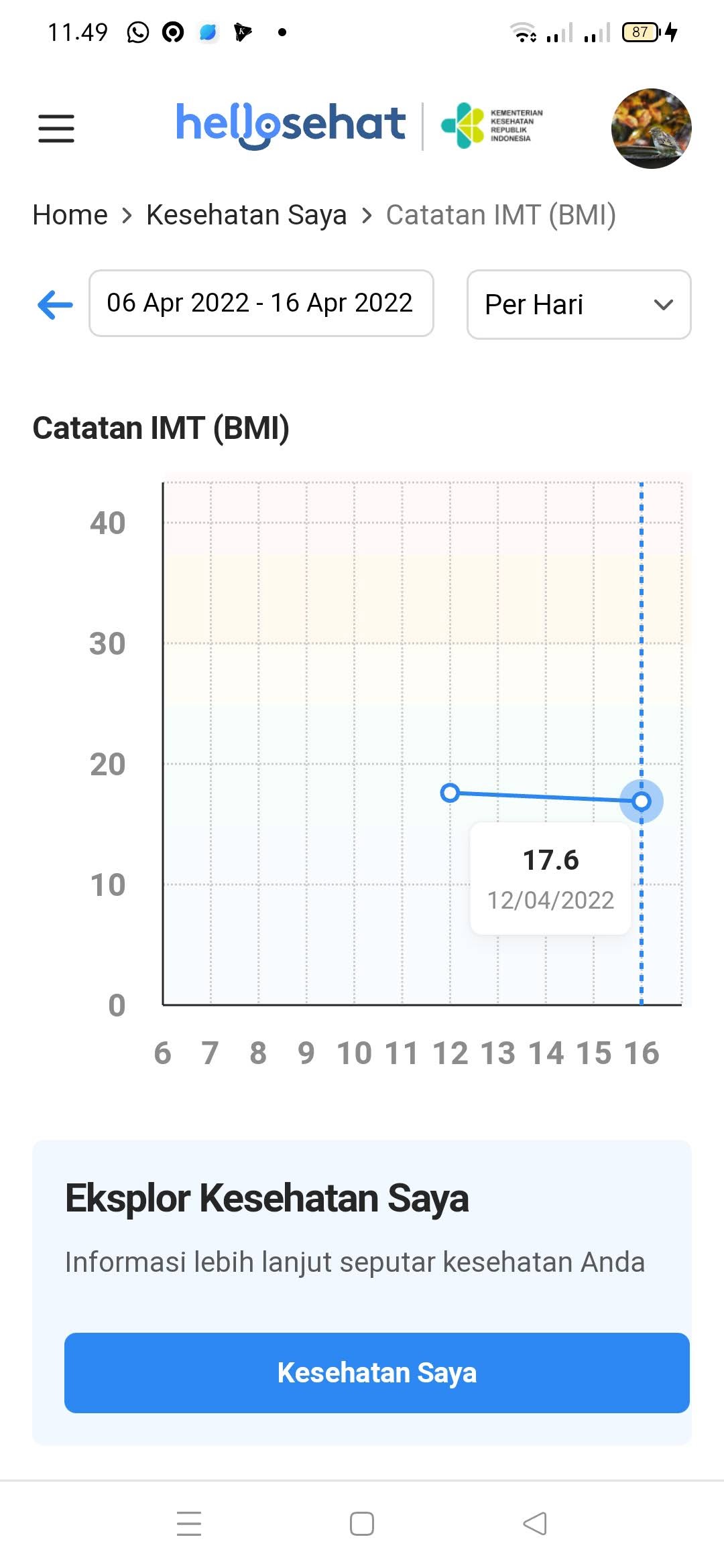 Tantangan BB Ideal: Post Ceritamu dan Dapatkan THR di Akhir Bulan!