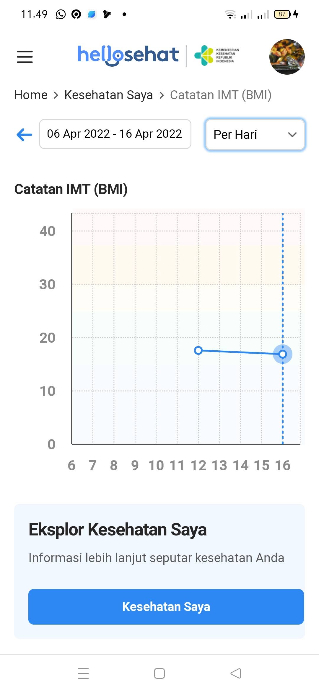 Tantangan BB Ideal: Post Ceritamu dan Dapatkan THR di Akhir Bulan!