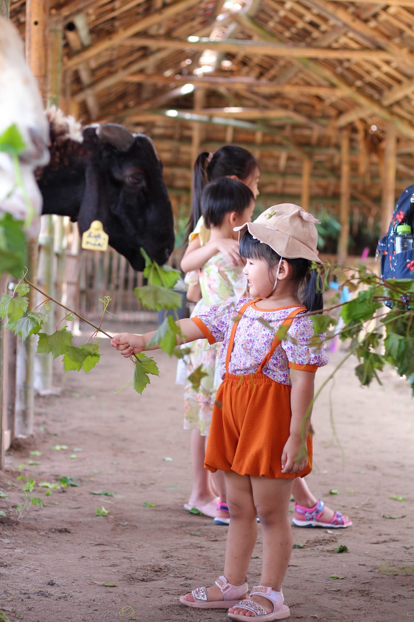 Cuộc thi Gia đình vui khoẻ - Khoe hình nhận thưởng - Mong con một đời bình an! 