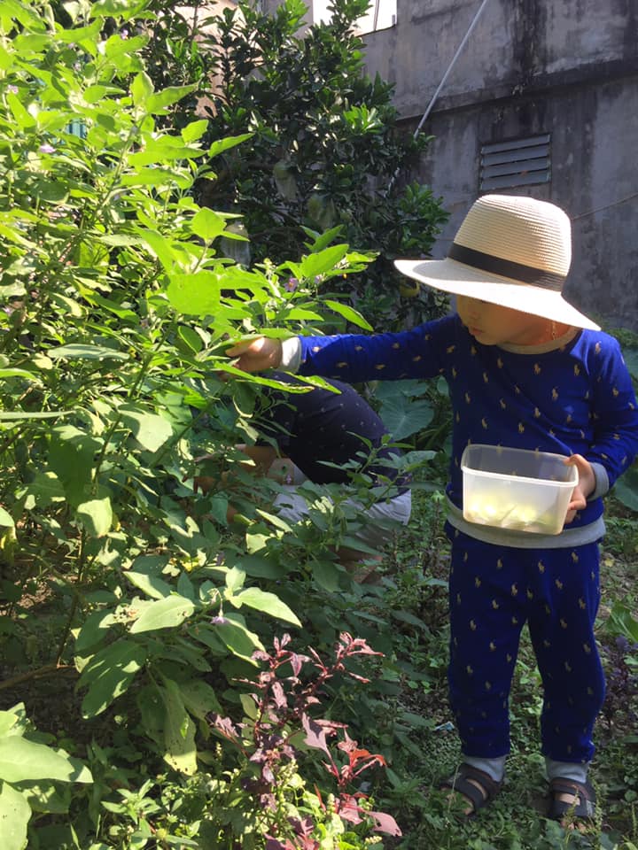 Cuộc thi Gia đình vui khoẻ - Khoe hình nhận thưởng - Một ngày vui chơi của con 