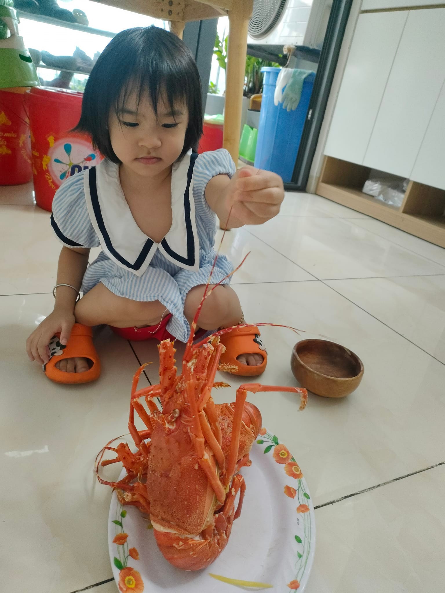 Cuộc thi Gia đình vui khoẻ - Khoe hình nhận thưởng - Một ngày vui cùng con