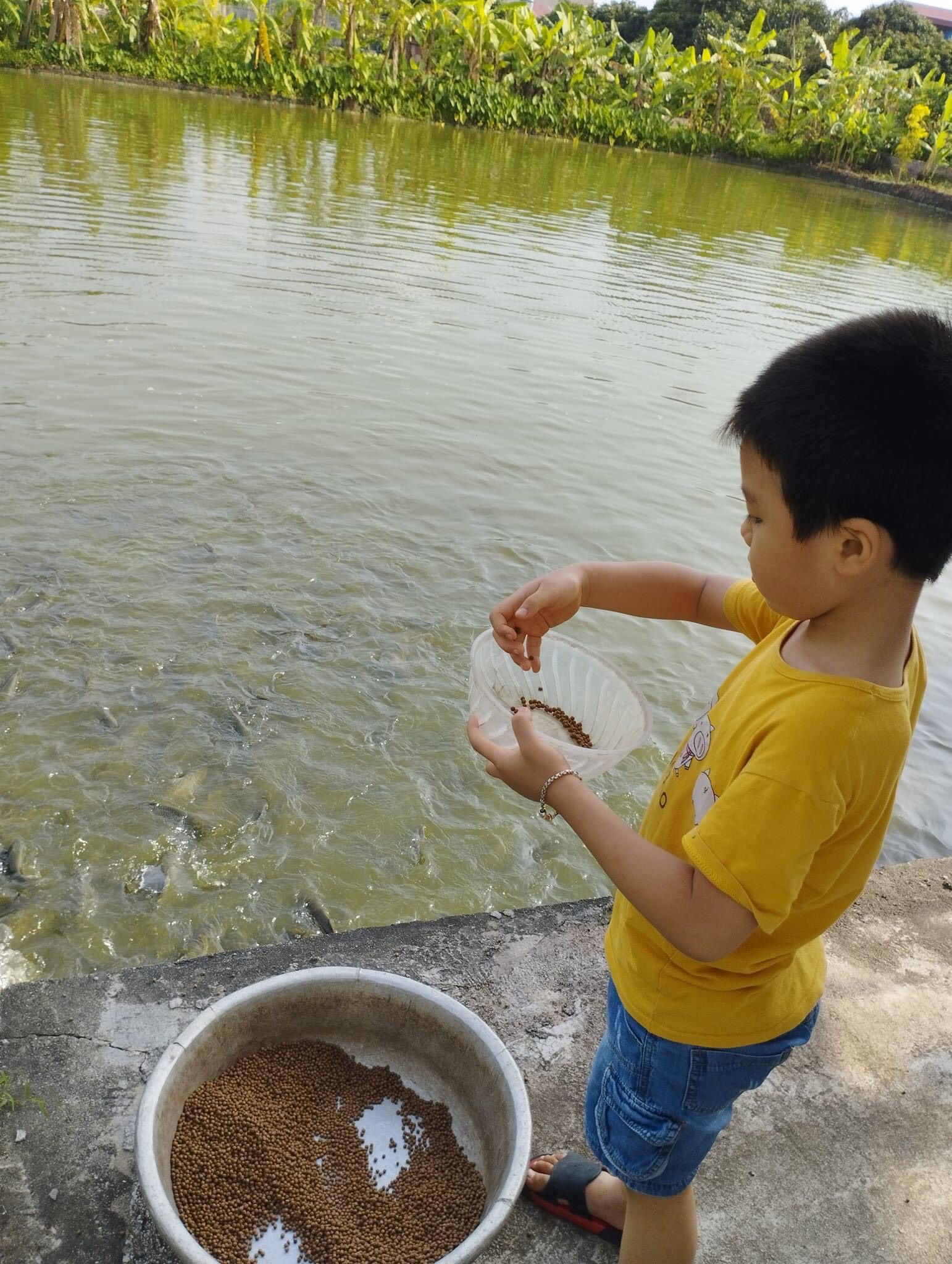 Cuộc thi Gia đình vui khoẻ - Khoe hình nhận thưởng - Cùng con khám phá