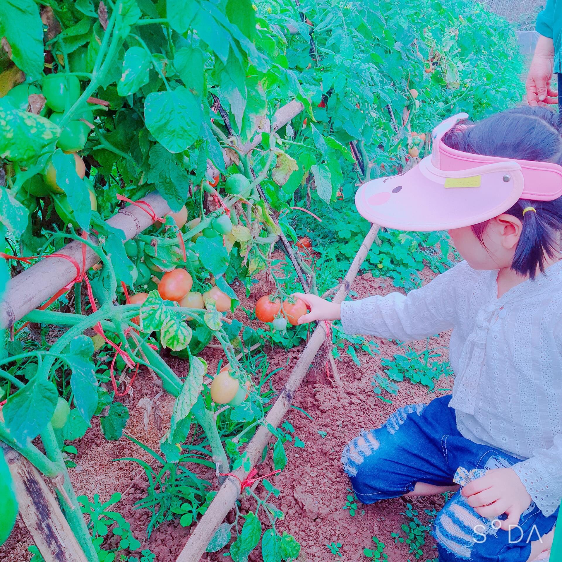 Cuộc thi Gia đình vui khoẻ - Khoe hình nhận thưởng - Có con gái thật tuyệt 