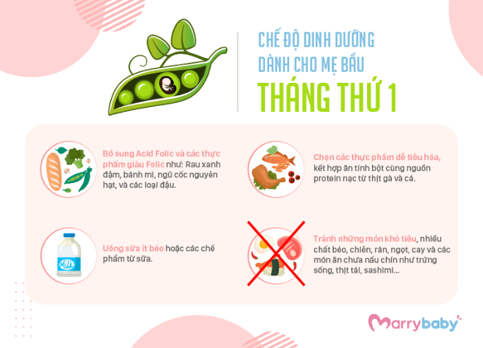 9 THÁNG MANG THAI MẸ BẦU NÊN ĂN GÌ? Chế độ ăn cho mẹ bầu trong tam cá nguyệt đầu tiên 