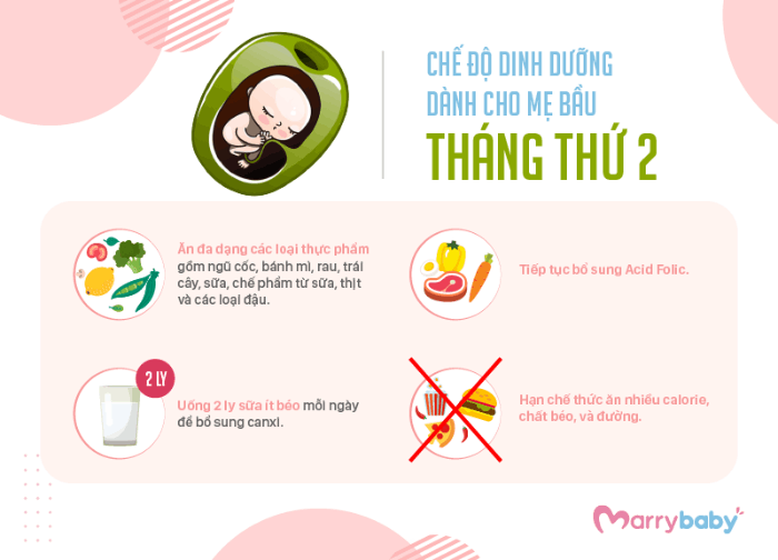 9 THÁNG MANG THAI MẸ BẦU NÊN ĂN GÌ? Chế độ ăn cho mẹ bầu trong tam cá nguyệt đầu tiên 