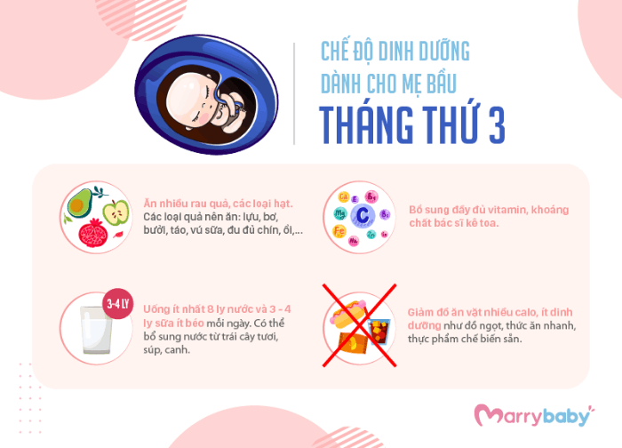 9 THÁNG MANG THAI MẸ BẦU NÊN ĂN GÌ? Chế độ ăn cho mẹ bầu trong tam cá nguyệt đầu tiên 