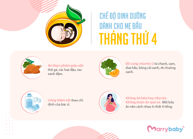 9 THÁNG MANG THAI MẸ BẦU NÊN ĂN GÌ? Chế độ ăn cho mẹ bầu trong tam cá nguyệt thứ hai 