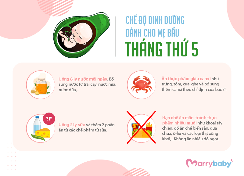 9 THÁNG MANG THAI MẸ BẦU NÊN ĂN GÌ? Chế độ ăn cho mẹ bầu trong tam cá nguyệt thứ hai 