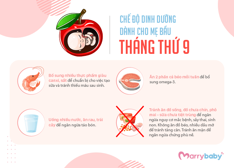 9 THÁNG MANG THAI MẸ BẦU NÊN ĂN GÌ? Chế độ ăn cho mẹ bầu trong tam cá nguyệt thứ ba 