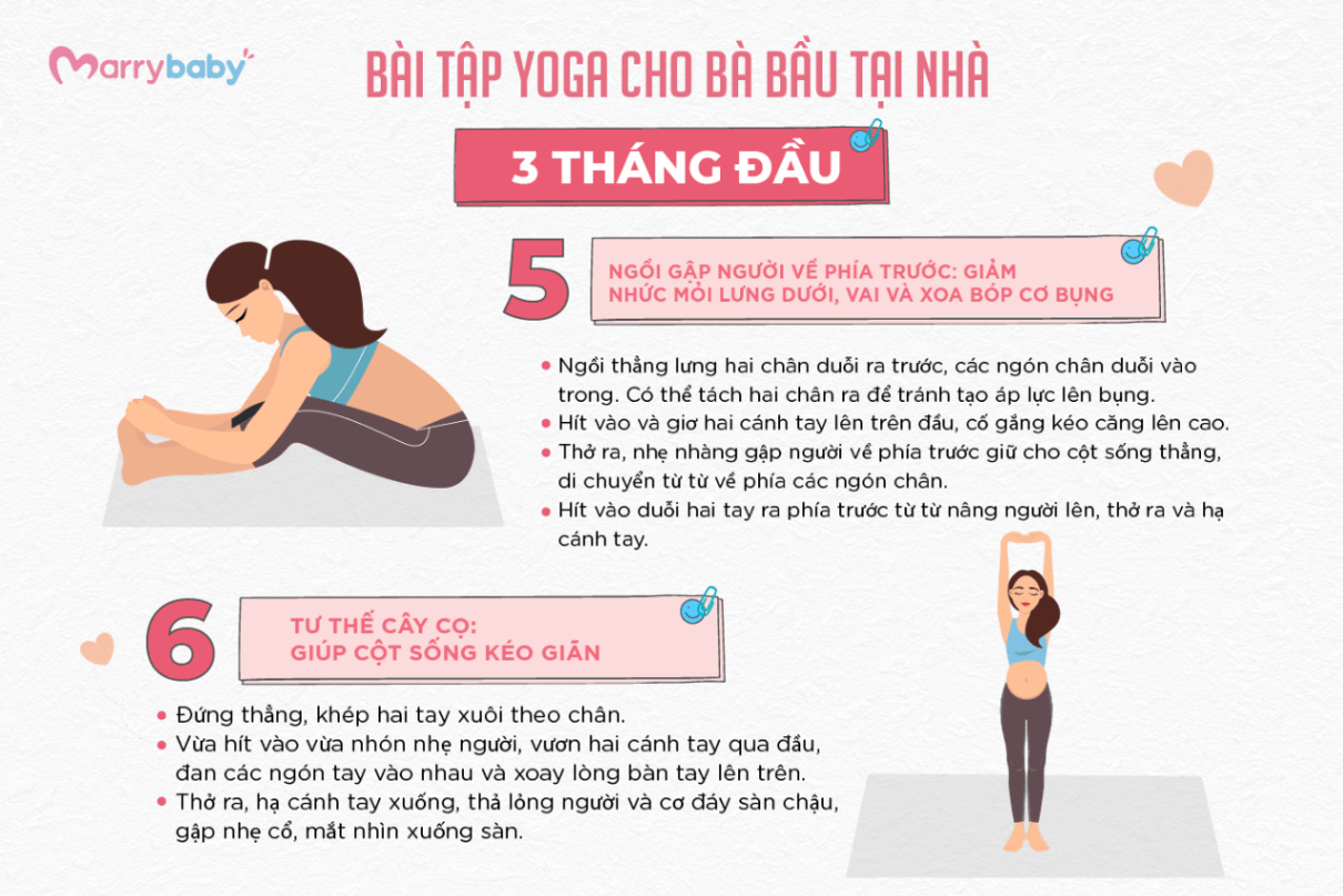 TỔNG HỢP BÀI TẬP YOGA CHO BÀ BẦU TẠI NHÀ THEO TỪNG THÁNG - Các bài tập yoga cho mẹ bầu trong tam cá nguyệt đầu tiên