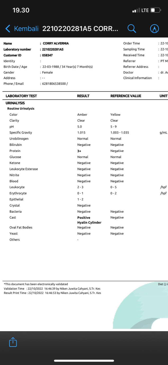 Hasil Test Urine