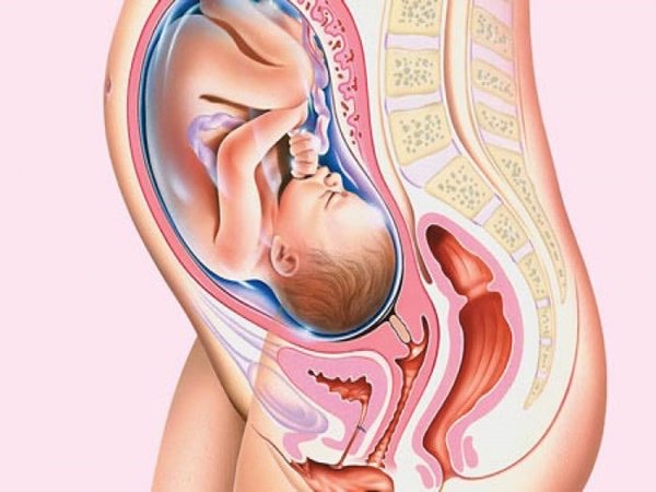 Các dấu hiệu và hình ảnh thai nhi quay đầu trong bụng mẹ