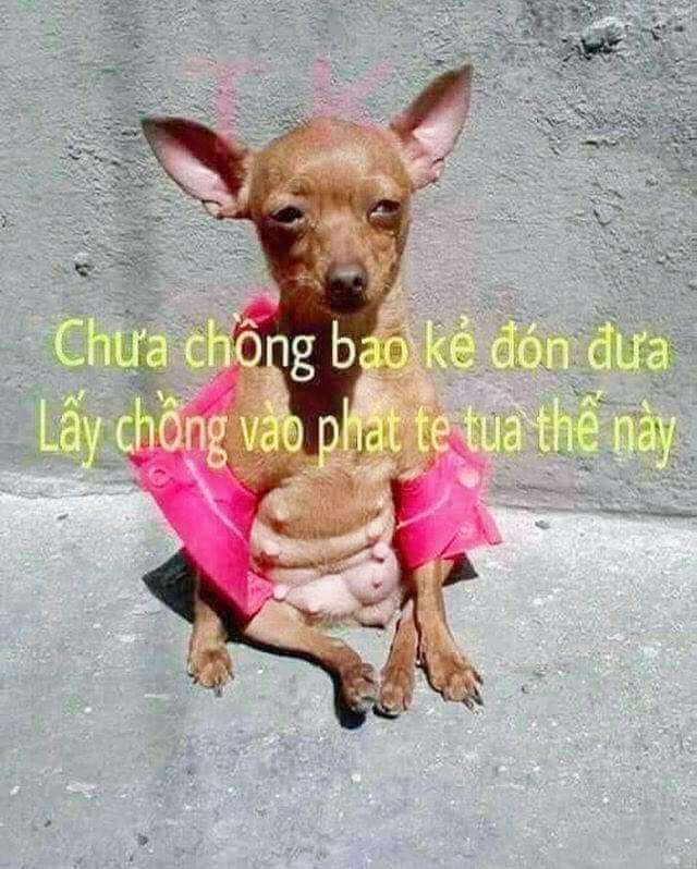 XẢ STRESS VUI VUI...