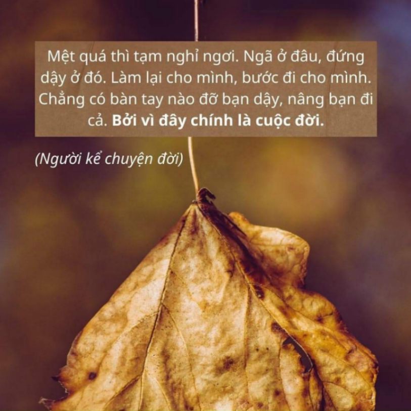 NHỮNG GIÂY PHÚT YẾU LÒNG