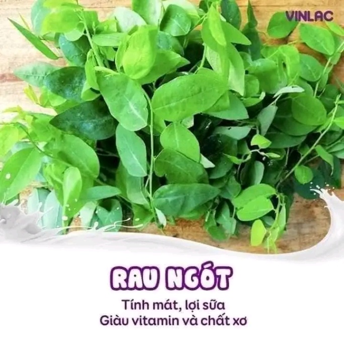 Top thực phẩm lợi sữa 