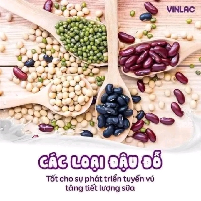 Top thực phẩm lợi sữa 