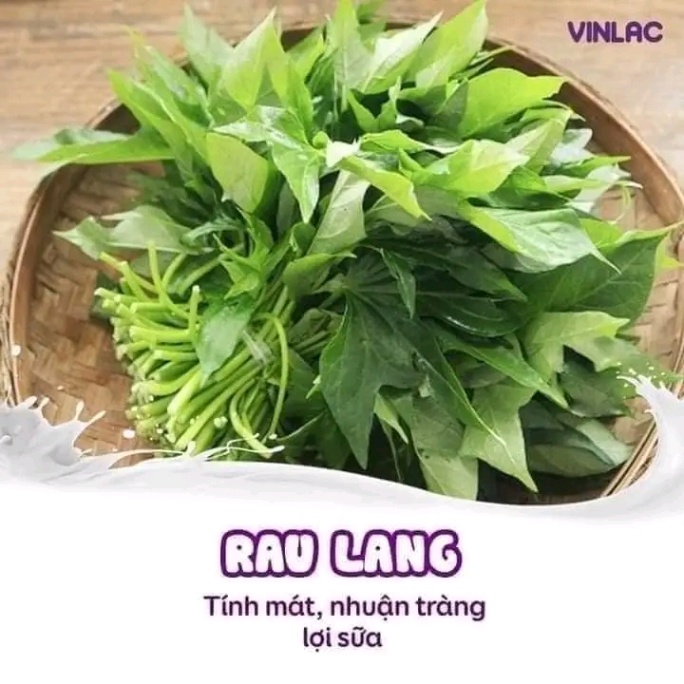 Top thực phẩm lợi sữa 