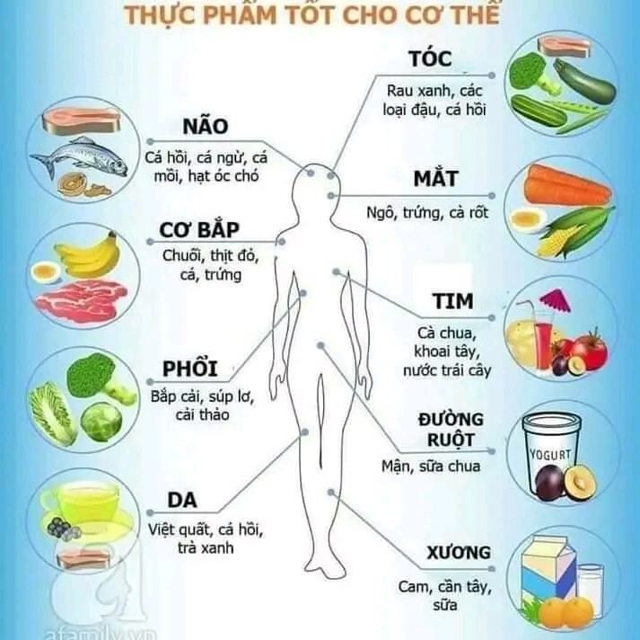 ♻️♻️ BẠN ĐÃ BIẾT⁉️⁉️Cơ thể bạn đang cần bổ sung thực phẩm gì ? 