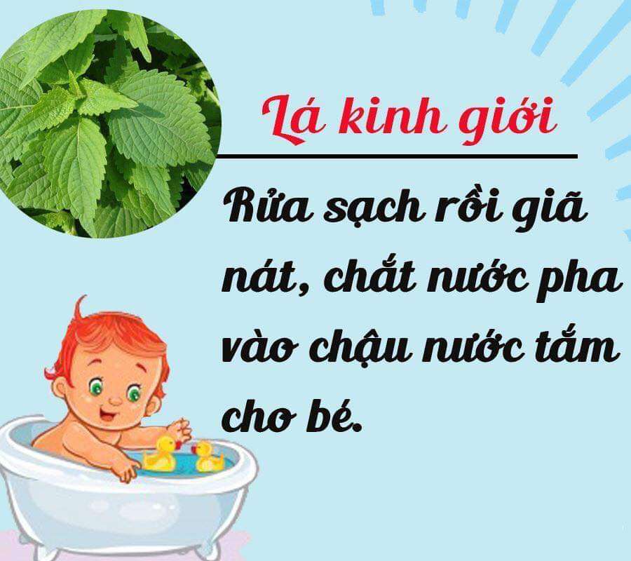 Các loại lá tắm cho bé yêu