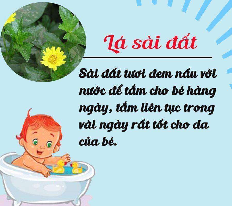 Các loại lá tắm cho bé yêu