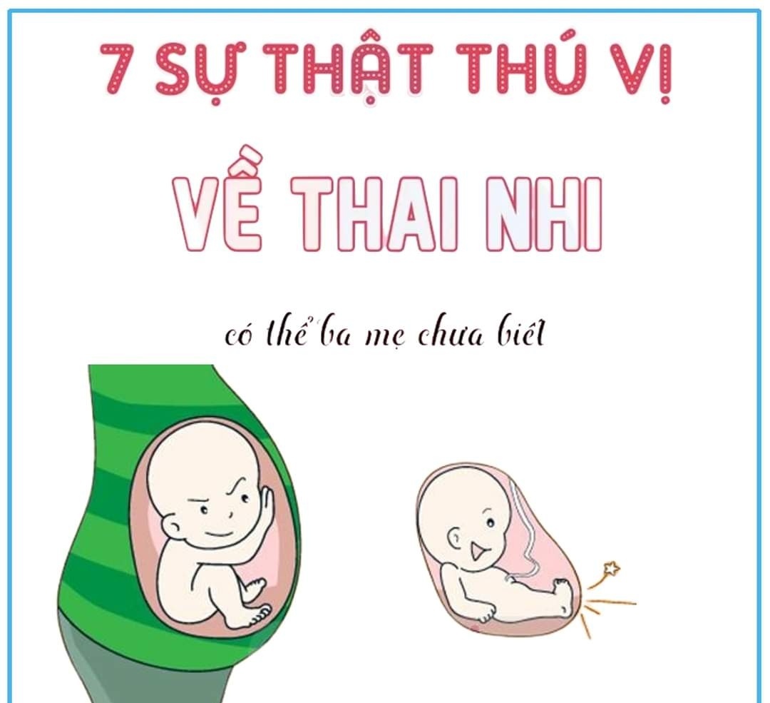 👉👉👉 7 SỰ THẬT THÚ VỊ VỀ THAI NHI CÓ THỂ BA MẸ CHƯA BIẾTTrong suốt 9 tháng của thai kỳ, thai nhi sẽ có nhiều biến đổi.