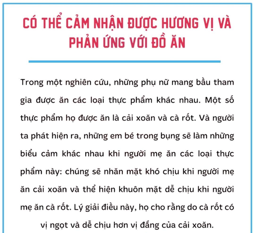 👉👉👉 7 SỰ THẬT THÚ VỊ VỀ THAI NHI CÓ THỂ BA MẸ CHƯA BIẾTTrong suốt 9 tháng của thai kỳ, thai nhi sẽ có nhiều biến đổi.