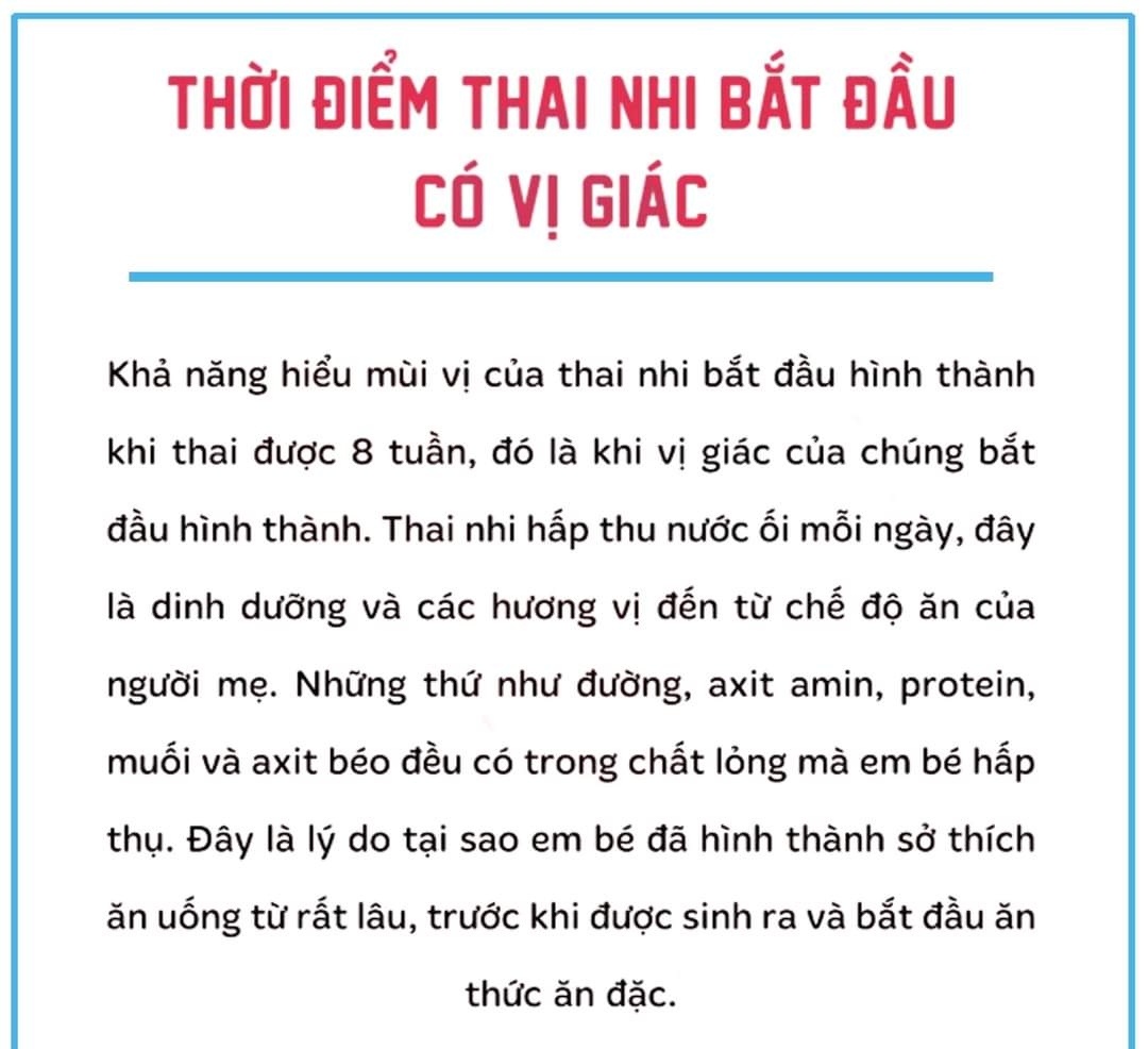 👉👉👉 7 SỰ THẬT THÚ VỊ VỀ THAI NHI CÓ THỂ BA MẸ CHƯA BIẾTTrong suốt 9 tháng của thai kỳ, thai nhi sẽ có nhiều biến đổi.