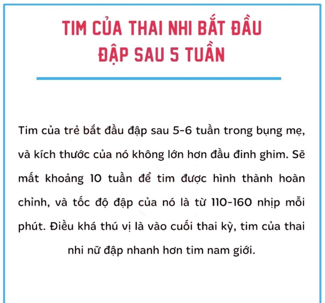 👉👉👉 7 SỰ THẬT THÚ VỊ VỀ THAI NHI CÓ THỂ BA MẸ CHƯA BIẾTTrong suốt 9 tháng của thai kỳ, thai nhi sẽ có nhiều biến đổi.