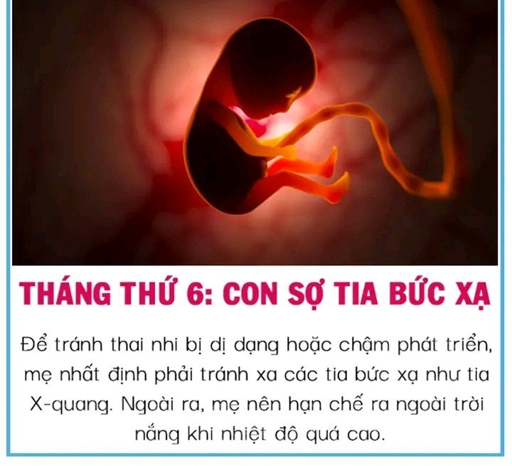 Theo từng tháng, thai nhi sợ gì trong bụng mẹ 