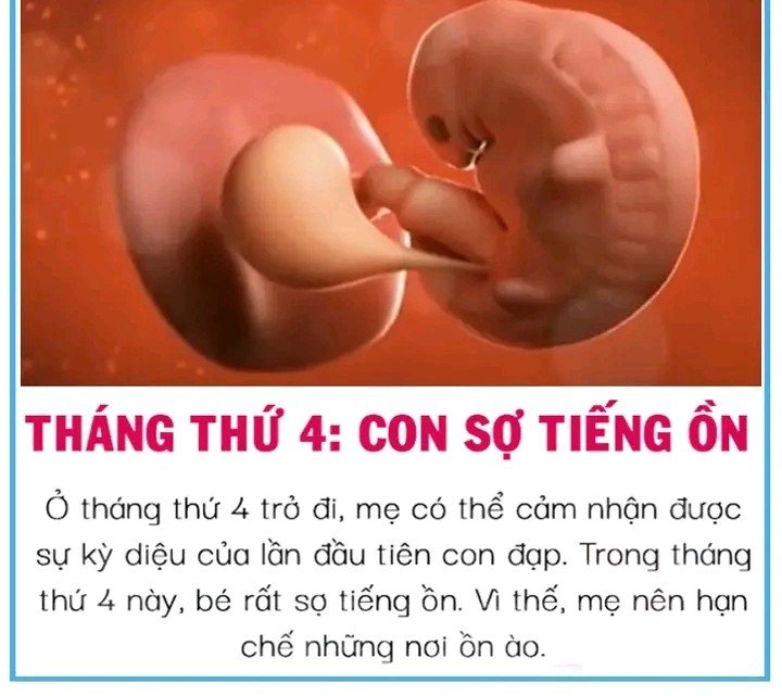 Theo từng tháng, thai nhi sợ gì trong bụng mẹ 