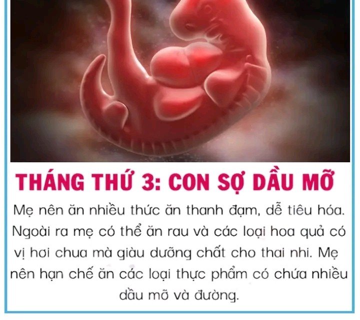 Theo từng tháng, thai nhi sợ gì trong bụng mẹ 