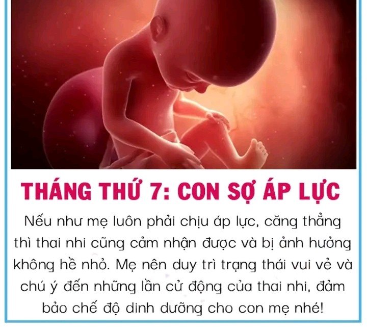 Theo từng tháng, thai nhi sợ gì trong bụng mẹ 