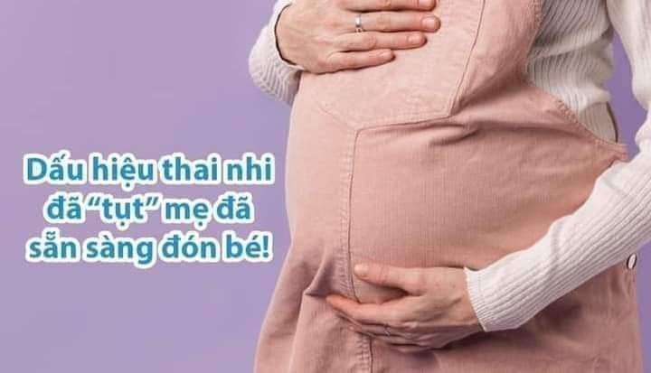 Dấu hiệu thai nhi đã tụt 