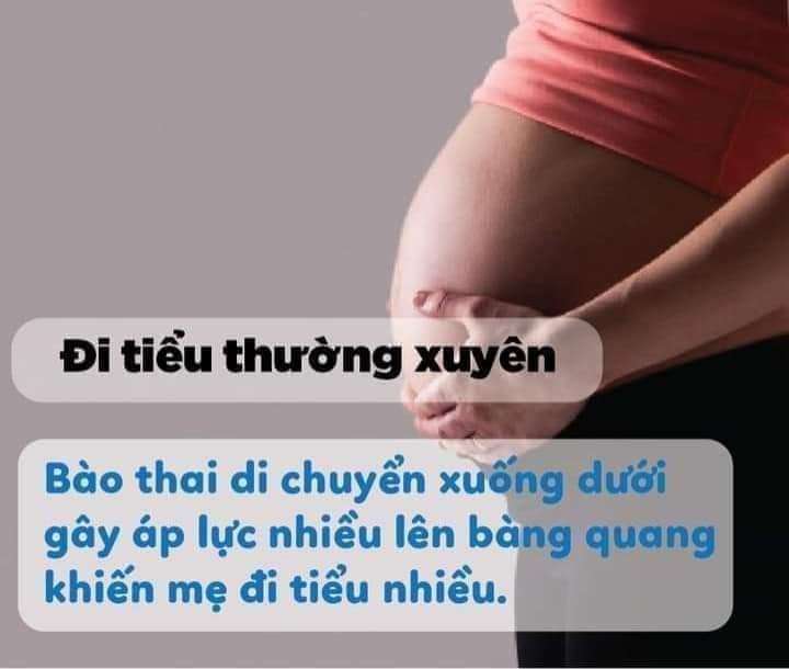 Dấu hiệu thai nhi đã tụt 