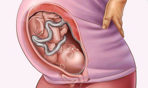 Các xét nghiệm và kiểm tra sức khỏe cần thiết cho thai phụ và thai nhi trong tuần thứ 35 của thai kỳ là gì?
