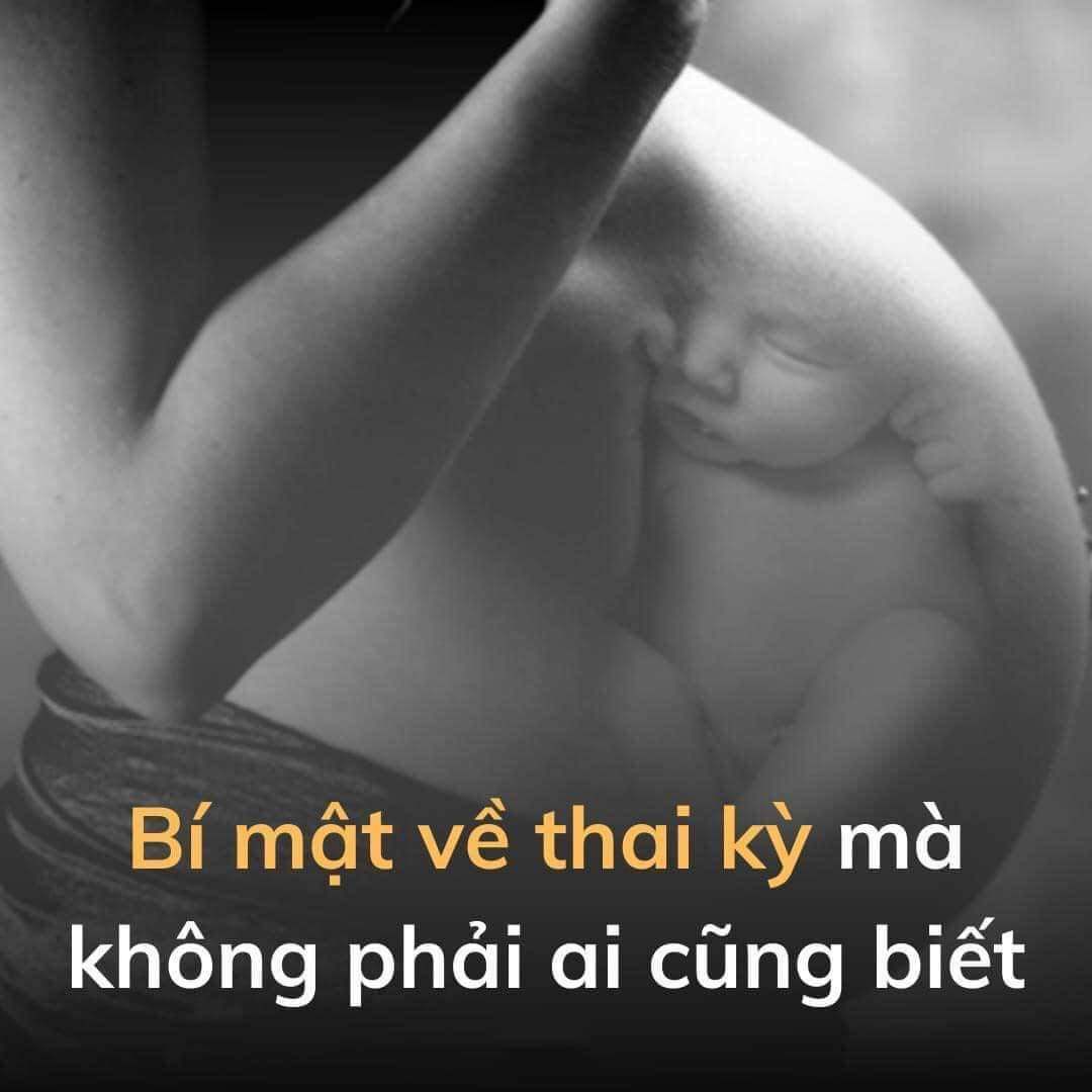 **BÍ MẬT VỀ THAI KỲ CỦA MẸ KHÔNG PHẢI AI CŨNG BIẾT **1.