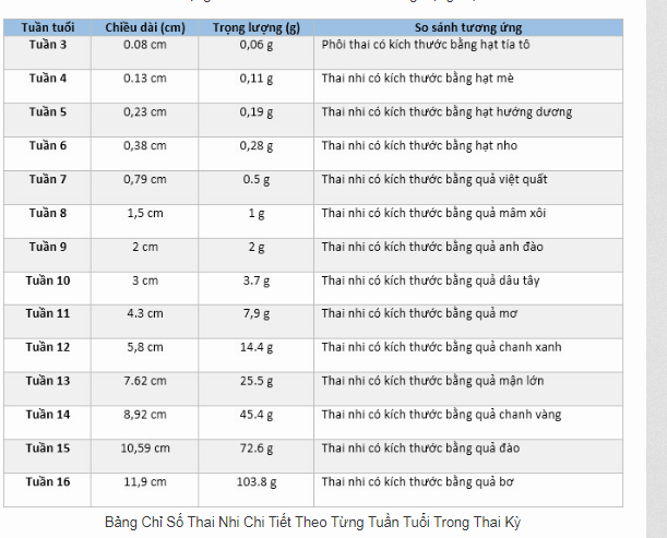 Bảng tính tuổi thai theo tuần