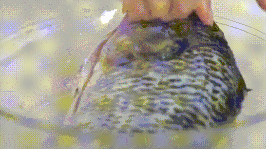 6 Cách khử mùi tanh của cá