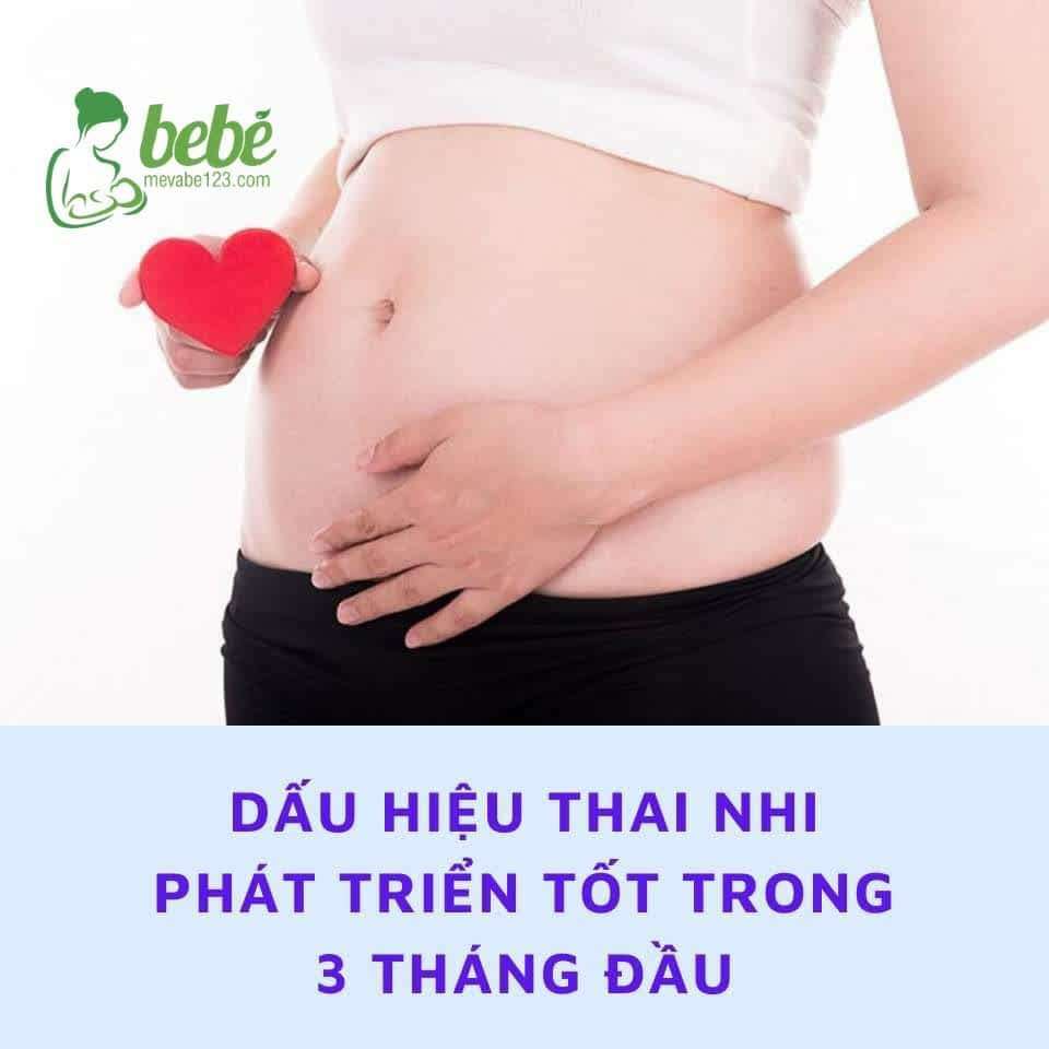 DẤU HIỆU THAI NHI PHÁT TRIỂN TỐT TRONG 3 THÁNG ĐẦU 😍✨ 