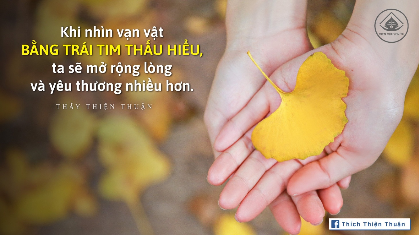 Trái tim thấu hiểu