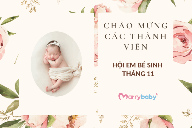 Chào mừng bạn đến với Hội em bé sinh cùng tháng 11 trên Cộng đồng Mẹ bầu MarryBaby