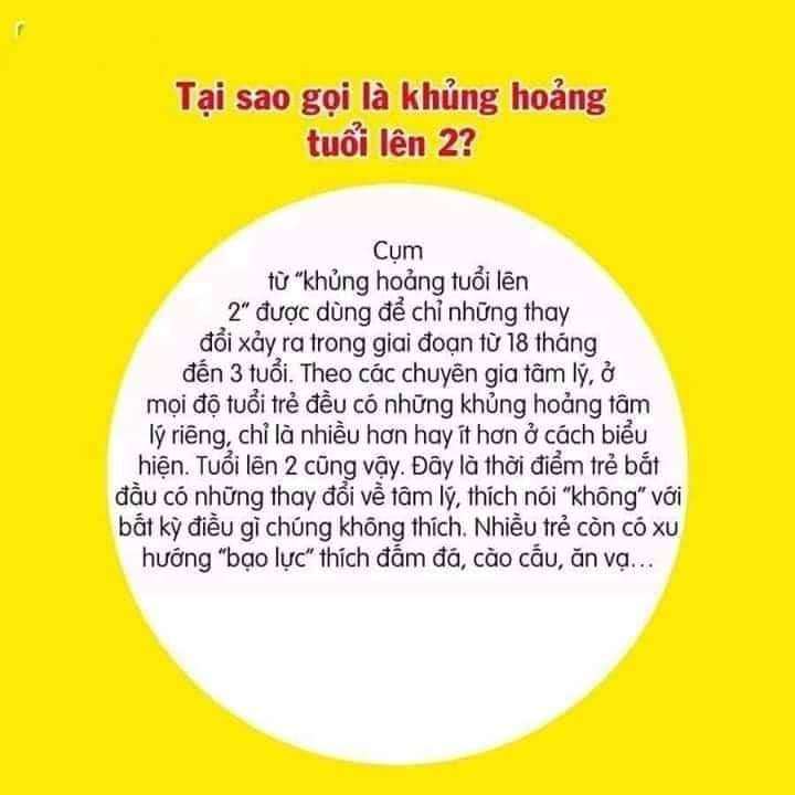 Khủng hoảng trẻ lên 2