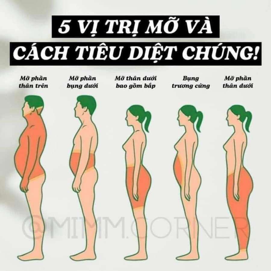 Các chị em thường bị tích mỡ ở đâu ạ, đây là các vị trí tích mỡ gần như phổ biến nhất, và cách tiêu diệt chúng