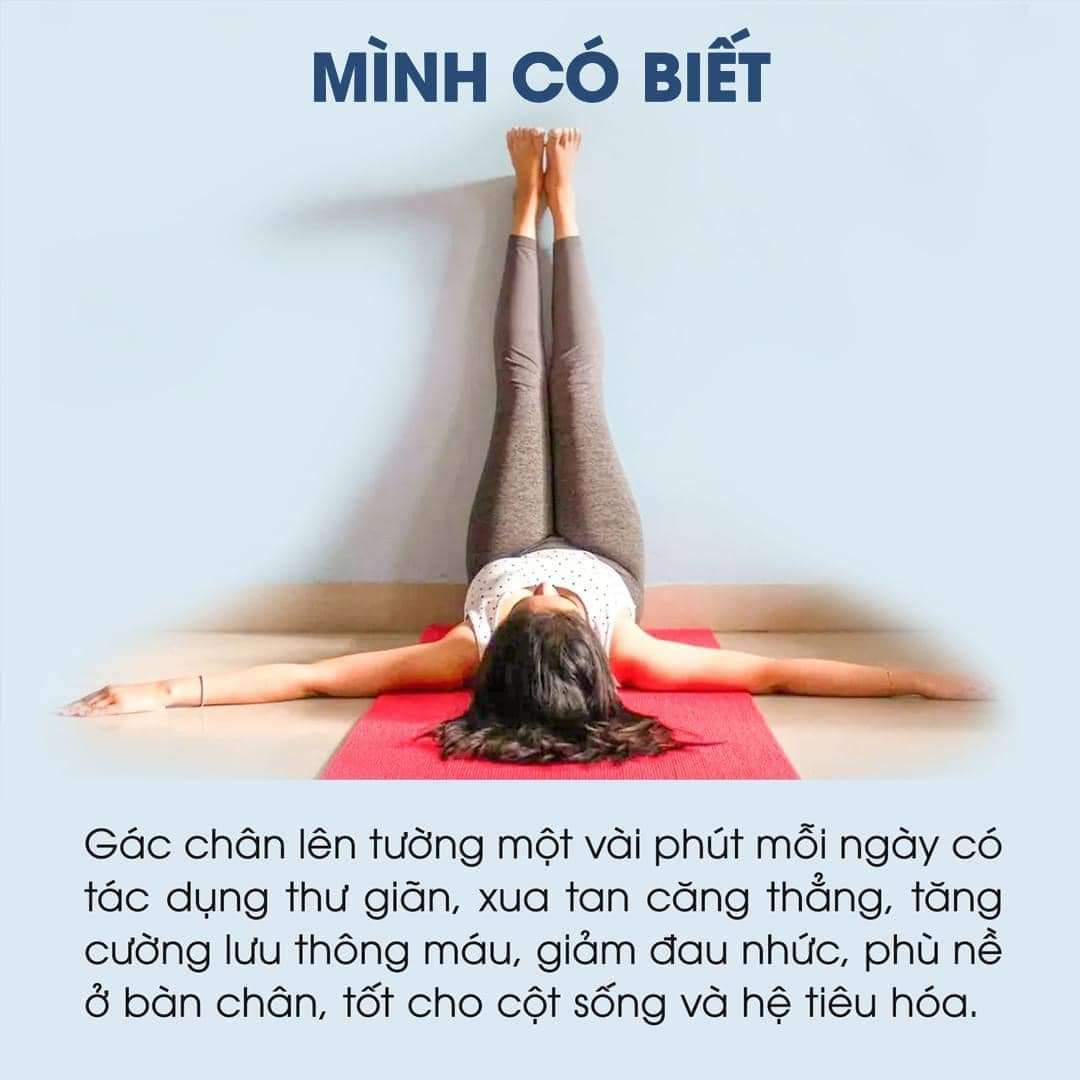 "Yoga là sức mạnh của sự linh hoạt, sự dung nạp và sự dẻo dai trong cơ thể. Nó cũng giúp ta giải phóng các căng thẳng và