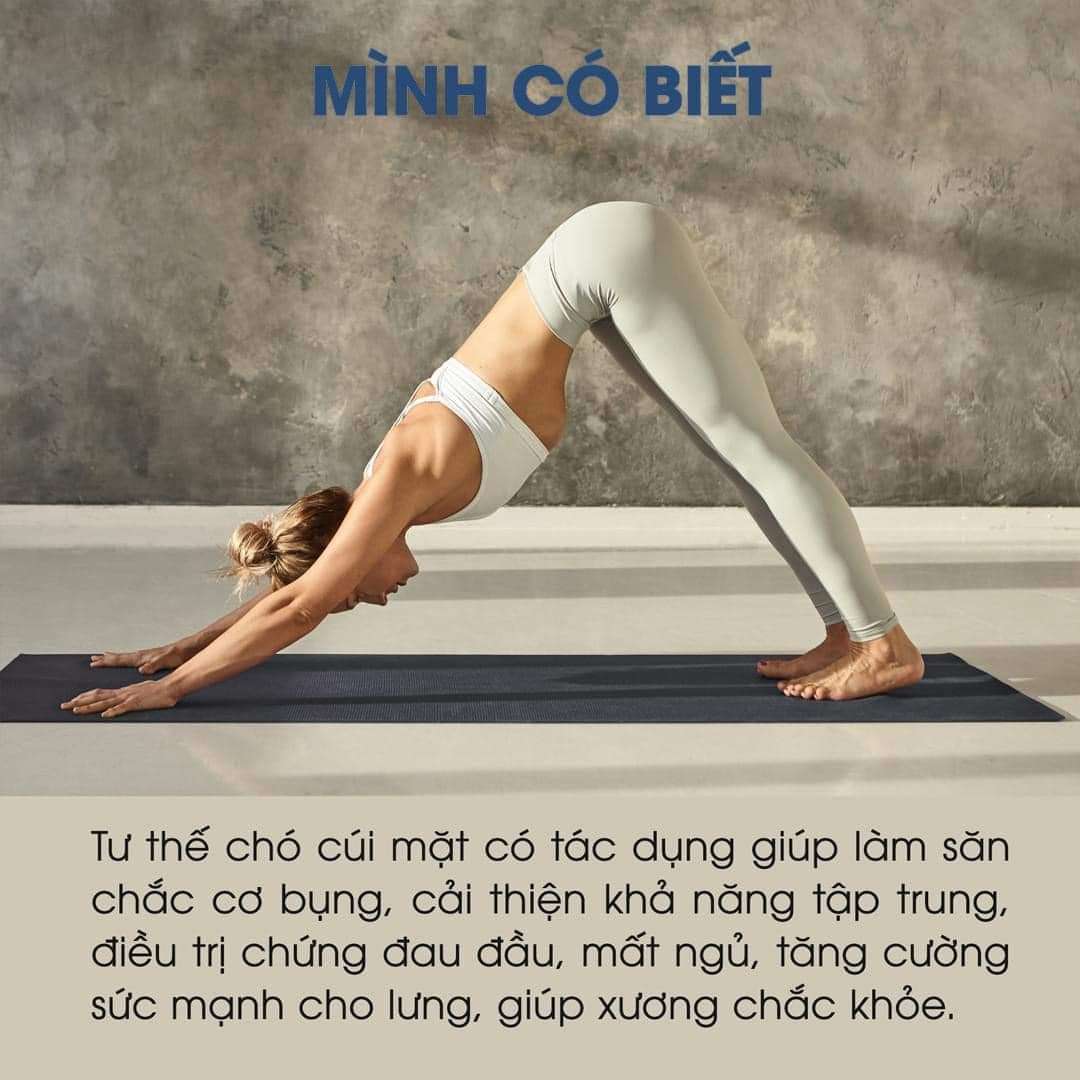 "Yoga là sức mạnh của sự linh hoạt, sự dung nạp và sự dẻo dai trong cơ thể. Nó cũng giúp ta giải phóng các căng thẳng và