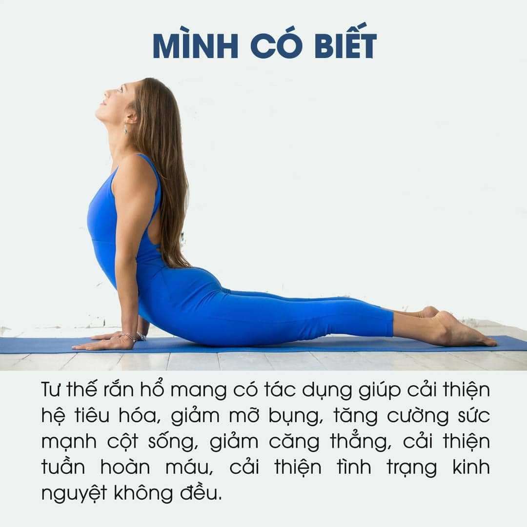 "Yoga là sức mạnh của sự linh hoạt, sự dung nạp và sự dẻo dai trong cơ thể. Nó cũng giúp ta giải phóng các căng thẳng và