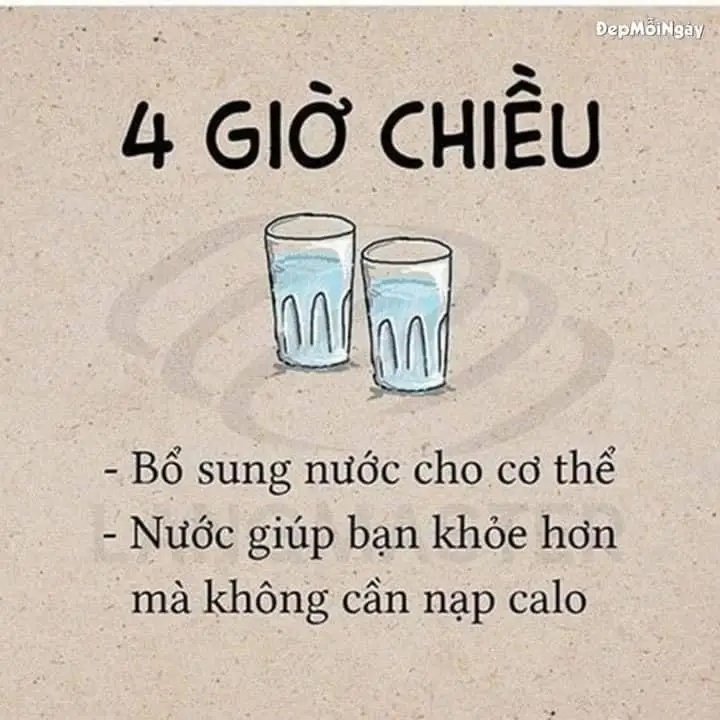 Các khung giờ cần bổ sung nước để có cơ thể khỏe mạnh các nàng nên lưu lại nhé 😍