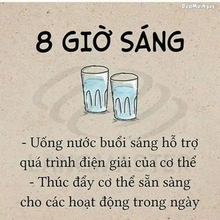 Các khung giờ cần bổ sung nước để có cơ thể khỏe mạnh các nàng nên lưu lại nhé 😍