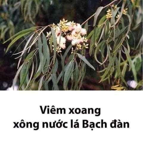 Lưu lại khi cần ạ 🥰🥰