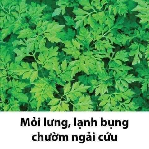 Lưu lại khi cần ạ 🥰🥰